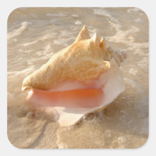 Conch Shell in zand op tropisch strand Vierkante Sticker (Voorkant)