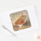 Conch Shell in zand op tropisch strand Vierkante Sticker (Envelop)