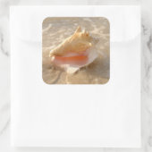 Conch Shell in zand op tropisch strand Vierkante Sticker (Tas)