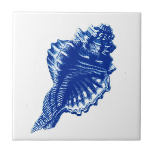 Conch Shell, Indigo Blue en White Tegeltje