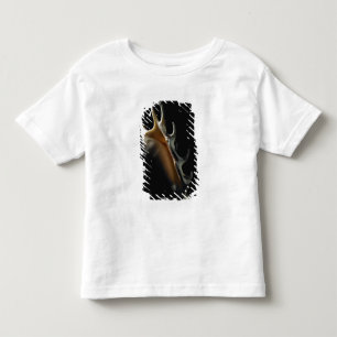 Conch shell kinder shirts