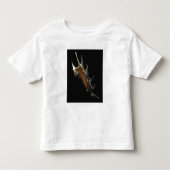 Conch shell kinder shirts (Voorkant)