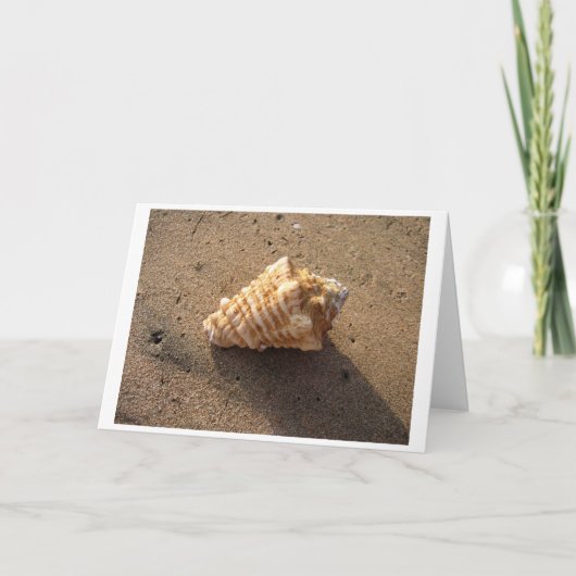 Conch Shell (kleur)-kaart Kaart (Voorkant)