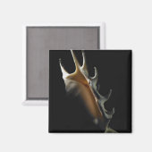Conch shell magneet (Voorkant / Achterkant)