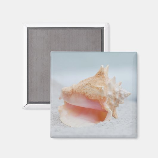 Conch Shell Magneet (Voorkant / Achterkant)