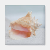 Conch Shell Magneet (Voorkant)