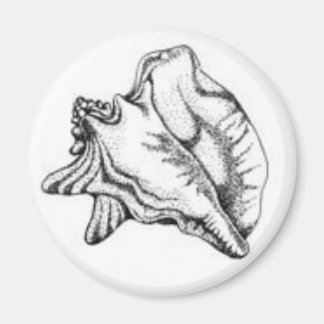 Conch Shell magneet