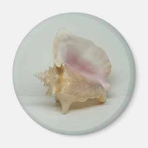 CONCH SHELL magneet (rond)