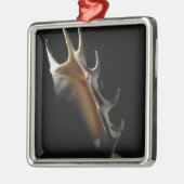 Conch shell metalen ornament (Links)