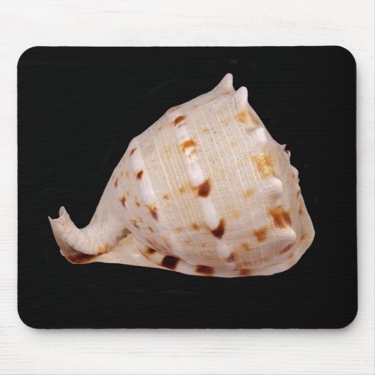 Conch Shell Mouse Mat Muismat (Voorkant)