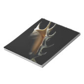 Conch shell notitieblok (Gedraaid)