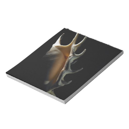 Conch shell notitieblok (Gedraaid)