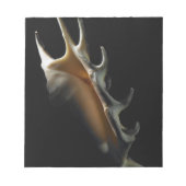 Conch shell notitieblok (Voorkant)