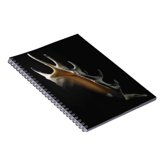 Conch shell notitieboek (Rechterzijde)