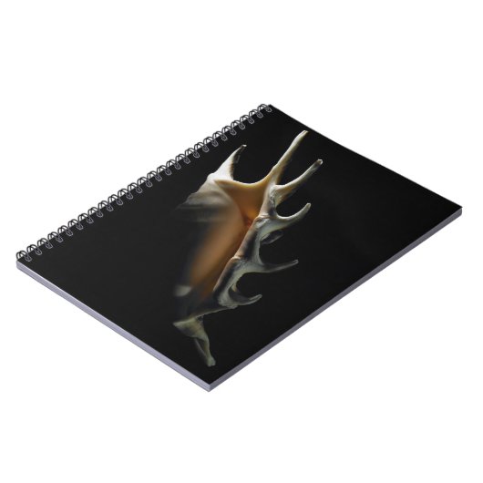 Conch shell notitieboek (Linkerzijde)