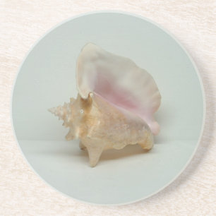 CONCH SHELL ONDERZETTER