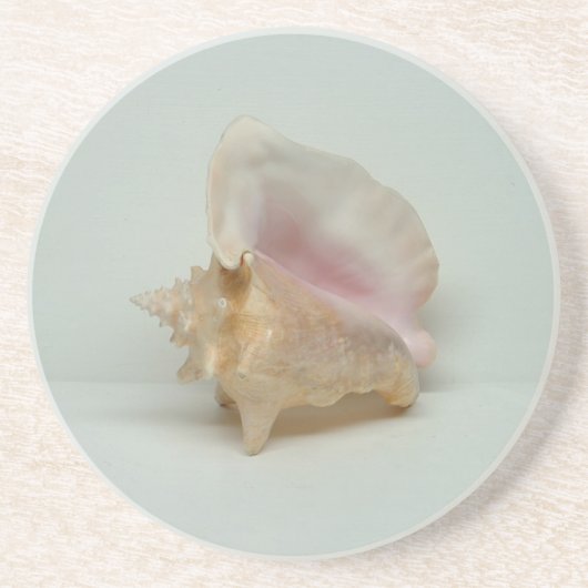 CONCH SHELL ONDERZETTER (Voorkant)
