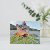 Conch Shell op de Beach Briefkaart (Staand voorkant)