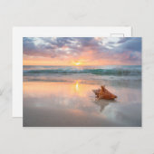 Conch Shell op de Beach | Jamaica Briefkaart (Voorkant / Achterkant)