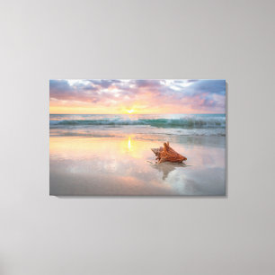 Conch Shell op de Beach Jamaica Canvas Afdruk