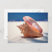 Conch Shell op strand 2 Briefkaart (Voorkant / Achterkant)
