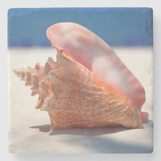Conch Shell op strand 2 Stenen Onderzetter (Voorkant)