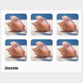 Conch Shell op strand 2 Vierkante Sticker (Vel)