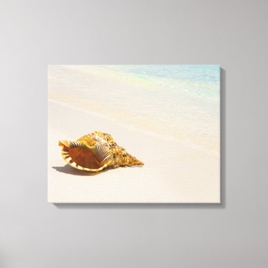 Conch Shell op strand 3 Canvas Afdruk (Voorkant)