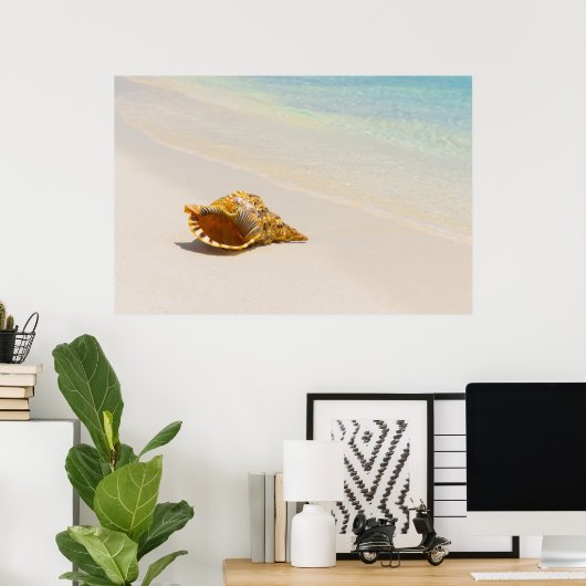 Conch Shell op strand 3 Poster (Thuiskantoor)