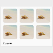 Conch Shell op strand 3 Vierkante Sticker (Vel)
