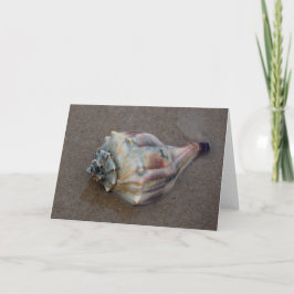 Conch Shell op strand Bedankkaart