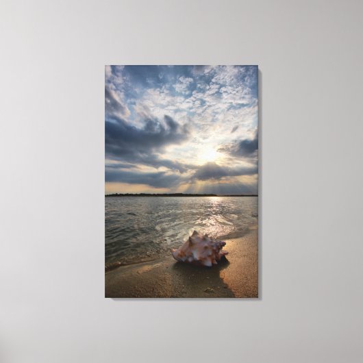 Conch Shell op strand | St. Augustinus, Fl Canvas Afdruk (Voorkant)