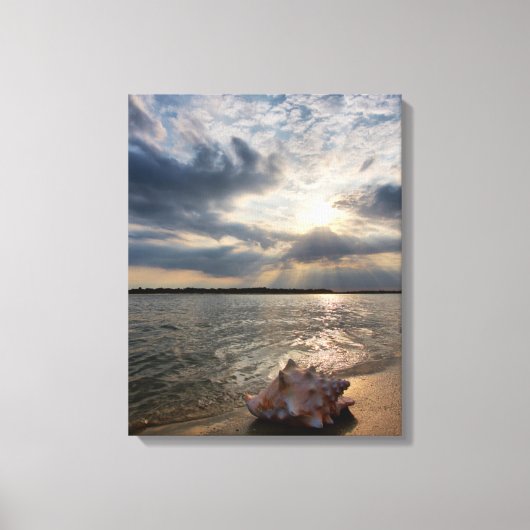 Conch Shell op strand | St. Augustinus, Fl Canvas Afdruk (Voorkant)