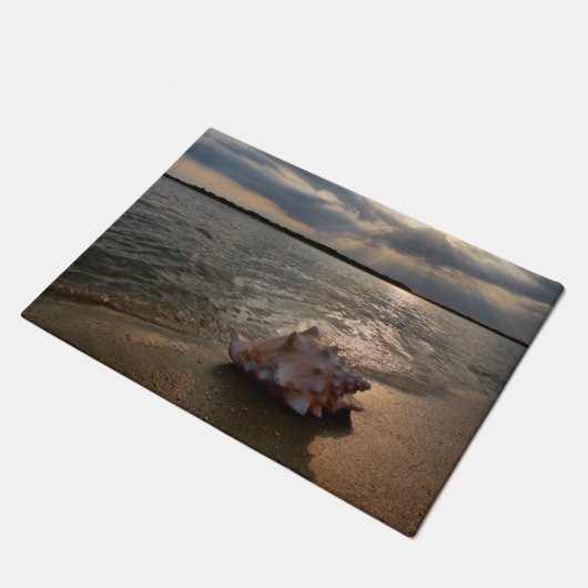 Conch Shell op strand | St. Augustinus, Fl Deurmat (Schuin)