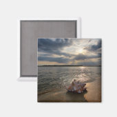 Conch Shell op strand | St. Augustinus, Fl Magneet (Voorkant / Achterkant)
