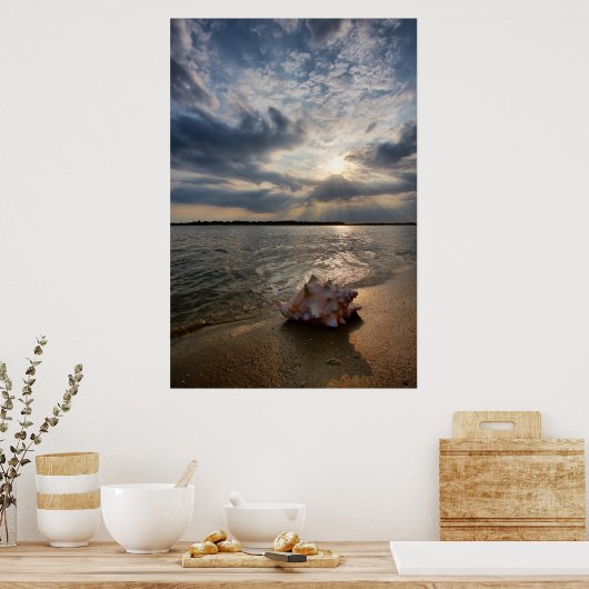 Conch Shell op strand | St. Augustinus, Fl Poster (Keuken)