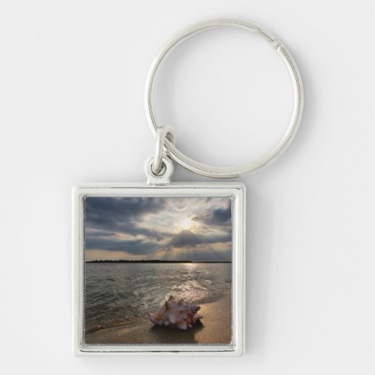 Conch Shell op strand | St. Augustinus, Fl Sleutelhanger (Voorkant)