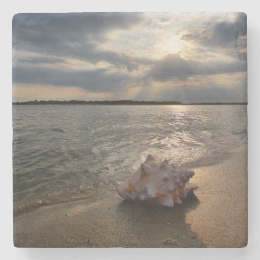 Conch Shell op strand | St. Augustinus, Fl Stenen Onderzetter (Voorkant)