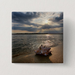 Conch Shell op strand St. Augustinus, Fl Vierkante Button 5,1 Cm