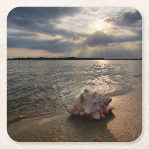 Conch Shell op strand   St. Augustinus, Fl Vierkante Kartonnen Onderzetter