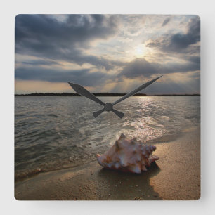 Conch Shell op strand   St. Augustinus, Fl Vierkante Klok