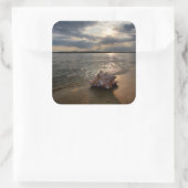 Conch Shell op strand | St. Augustinus, Fl Vierkante Sticker (Tas)