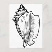 Conch Shell Sketch Briefkaart (Voorkant)