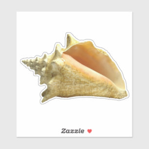 Conch Shell Sticker