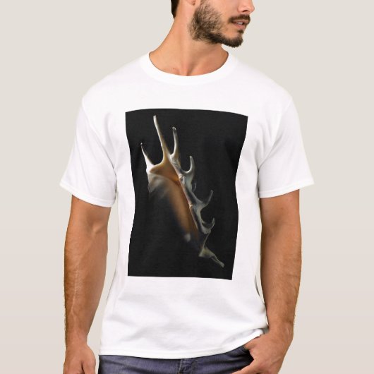 Conch shell t-shirt (Voorkant)