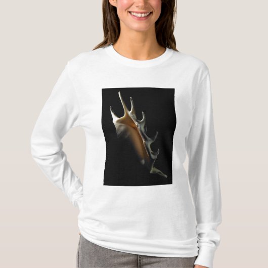 Conch shell t-shirt (Voorkant)