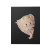 Conch Shell-toetsenblok Notitieblok (Gedraaid)