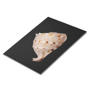 Conch Shell-toetsenblok Notitieblok