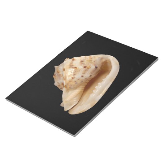 Conch Shell-toetsenblok Notitieblok (Schuin)