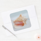 Conch Shell Vierkante Sticker (Envelop)